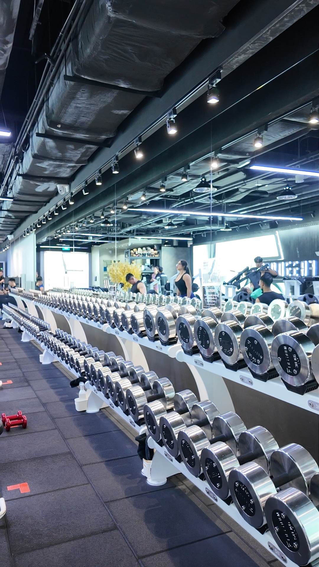 Dumbbell racks at Freedom Gym