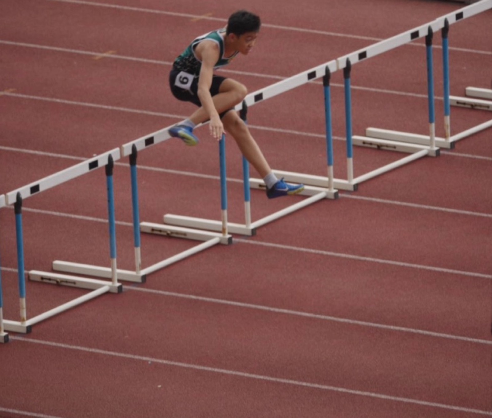 Wellington clearing a hurdle in competition